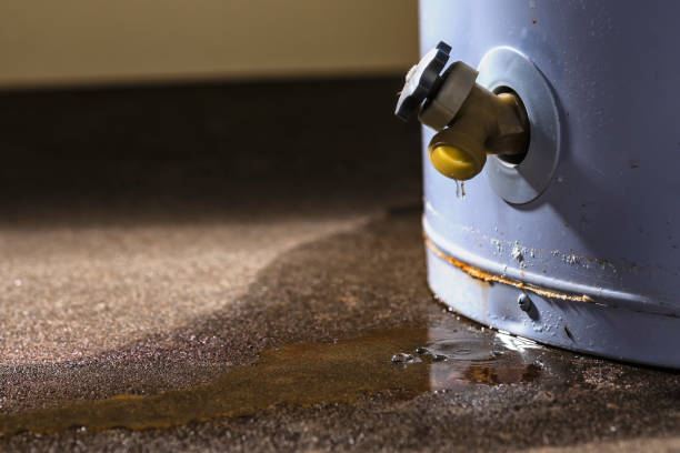  Knob Noster, MO Water damage restoration Pros