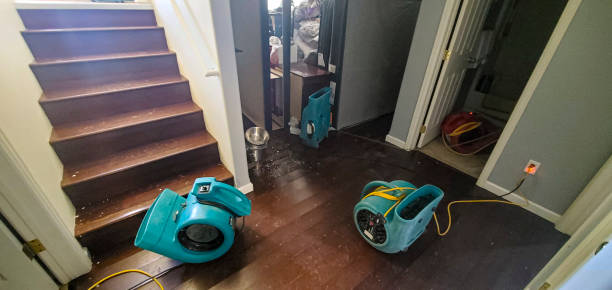 Best Water damage cleanup near me  in Knob Noster, MO