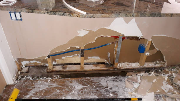 Best Water damage restoration services  in Knob Noster, MO