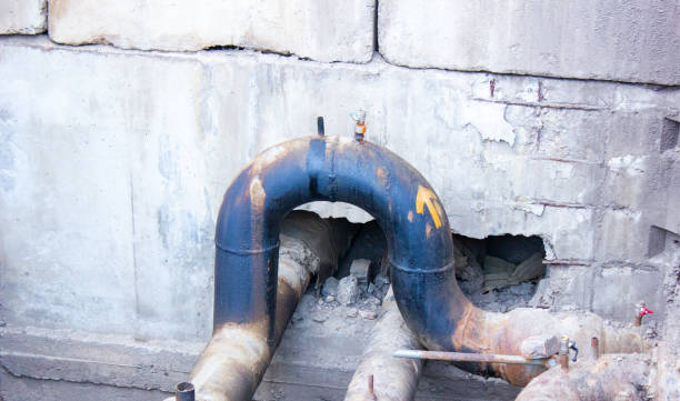 Best Flood damage cleanup  in Knob Noster, MO